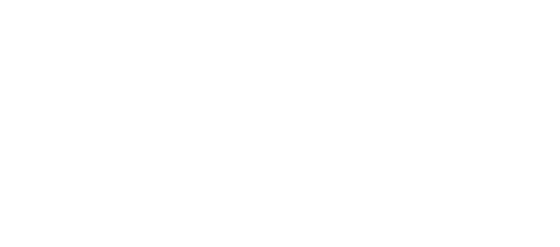 Easy Import Logo